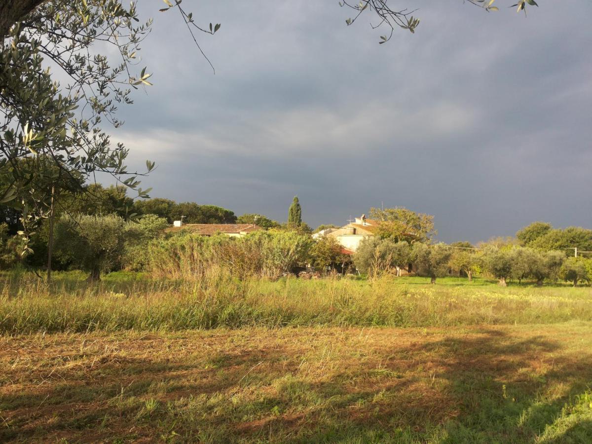 Casa Daria, Armonia Del Passato Nel Rispetto Della Natura Donoratico Exterior photo
